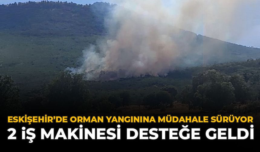 Eskişehir'de Orman Yangınına Müdahale Sürüyor: 2 İş Makinesi Desteğe Geldi