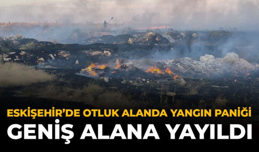 Eskişehir’de Otluk Alanda Yangın Paniği: Geniş Alana Yayıldı
