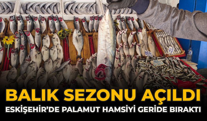 Balık Sezonu Açıldı: Eskişehir’de Palamut Hamsiyi Geride Bıraktı