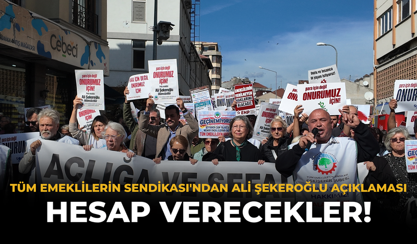 Tüm Emeklilerin Sendikası'ndan Ali Şekeroğlu Açıklaması: Hesap Verecekler!