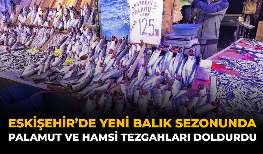 Eskişehir'de Yeni Balık Sezonunda Palamut ve Hamsi Tezgahları Doldurdu