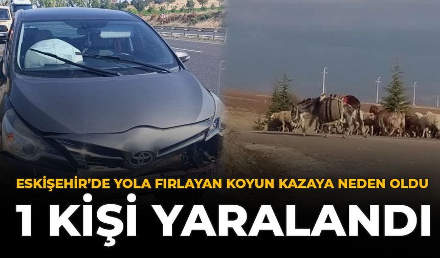 Eskişehir'de Yola Fırlayan Koyun Kazaya Neden Oldu: 1 Kişi Yaralandı