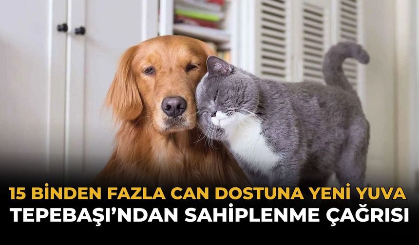15 Binden Fazla Can Yeni Yuvasına Kavuştu