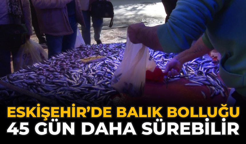 Eskişehir’de Balık Bolluğu 45 Gün Daha Sürebilir