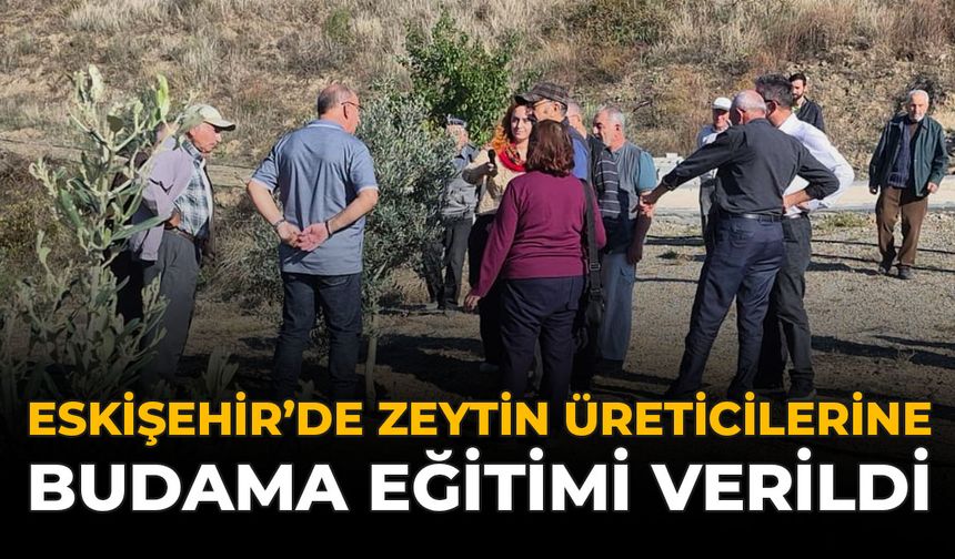 Eskişehir'de Zeytin Üreticilerine Budama Eğitimi Verildi