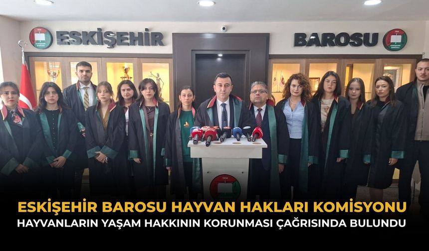 Hayvanların Yaşamı Gasp Ediliyor!