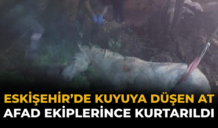 Eskişehir’de Kuyuya Düşen At AFAD Ekiplerince Kurtarıldı