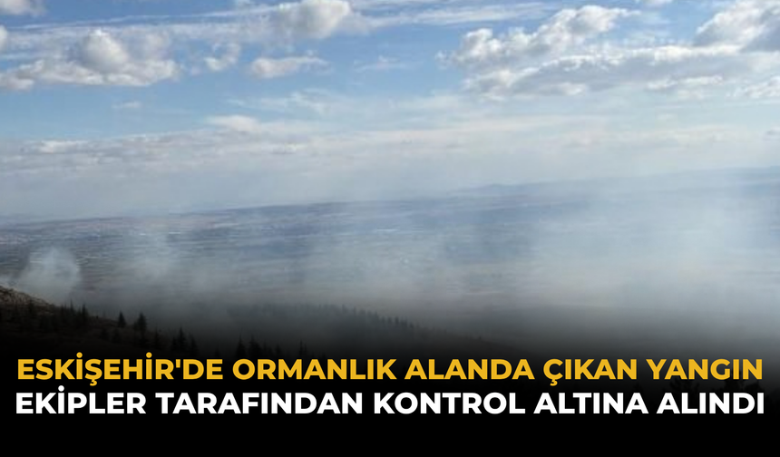 Eskişehir'de Ormanlık Alanda Çıkan Yangın Ekipler Tarafından Kontrol Altına Alındı