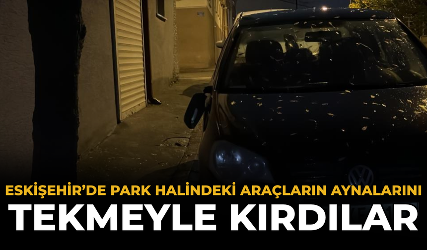 Eskişehir’de Park Halindeki Araçların Aynalarını Tekmeyle Kırdılar