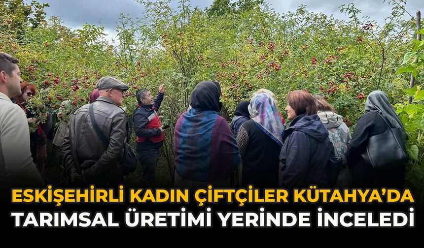 Eskişehirli Kadın Çiftçiler Kütahya’da Tarımsal Üretimi Yerinde İnceledi