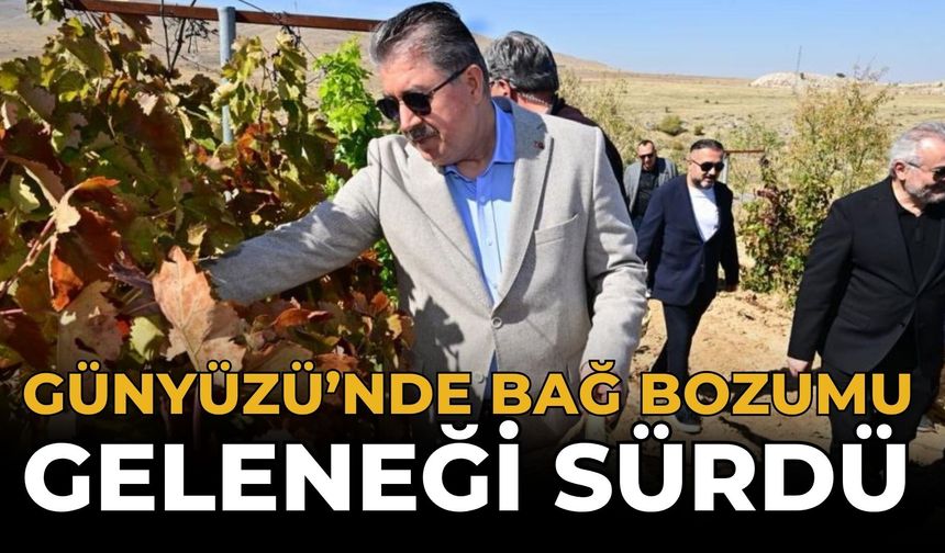 Günyüzü’nde Bağ Bozumu Geleneği Sürdü