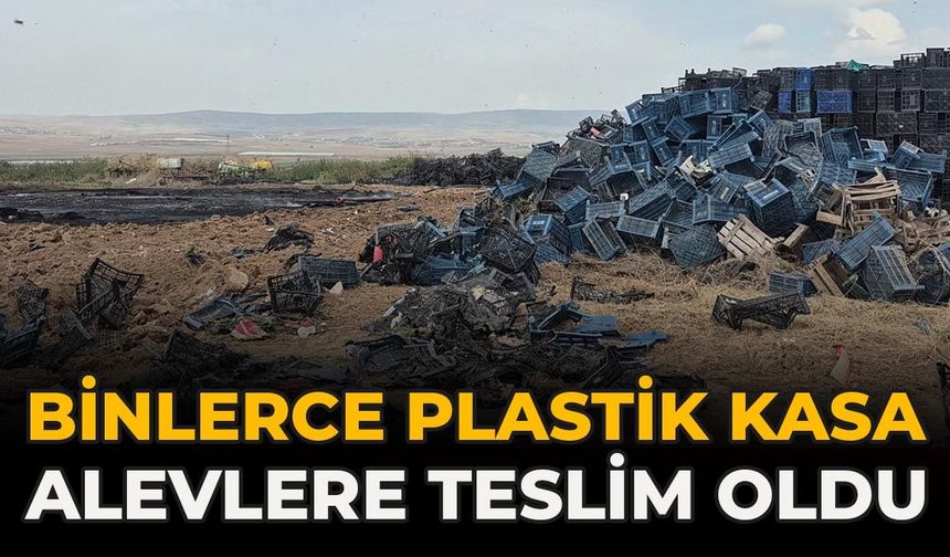 Eskişehir’de Binlerce Plastik Kasa Alevlere Teslim Oldu