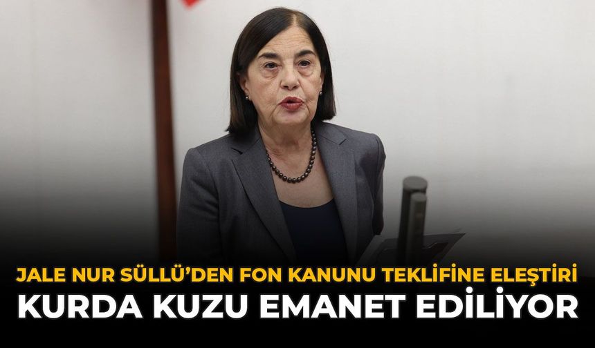 Jale Nur Süllü’den Fon Kanunu Teklifine Eleştiri:  “Kurda Kuzu Emanet Ediliyor”