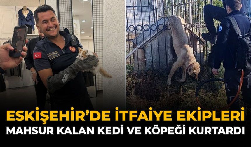 Eskişehir’de İtfaiye Ekipleri Mahsur Kalan Kedi ve Köpeği Kurtardı