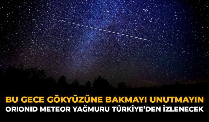 Bu Gece Gökyüzüne Bakmayı Unutmayın: Orionid Meteor Yağmuru Türkiye'den İzlenecek