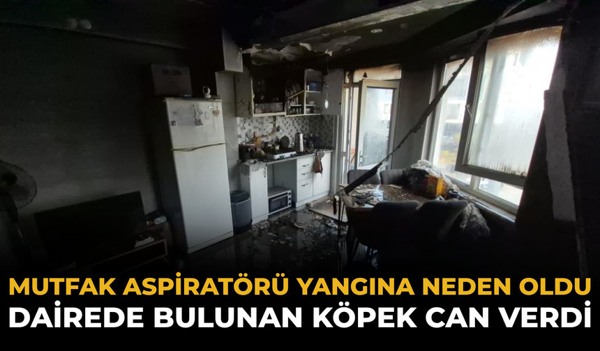 Mutfak Aspiratörü Yangına Neden Oldu: Dairede Bulunan Köpek Can Verdi