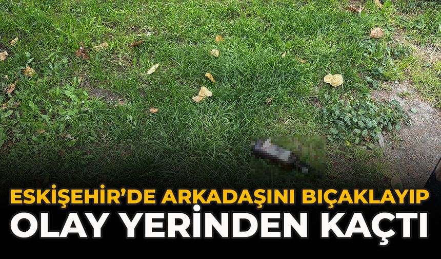 Eskişehir’de Arkadaşını Bıçaklayıp Olay Yerinden Kaçtı