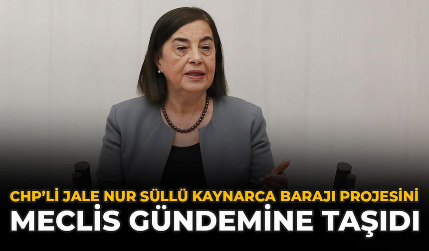 CHP’li Jale Nur Süllü, Kaynarca Barajı Projesini Meclis Gündemine Taşıdı