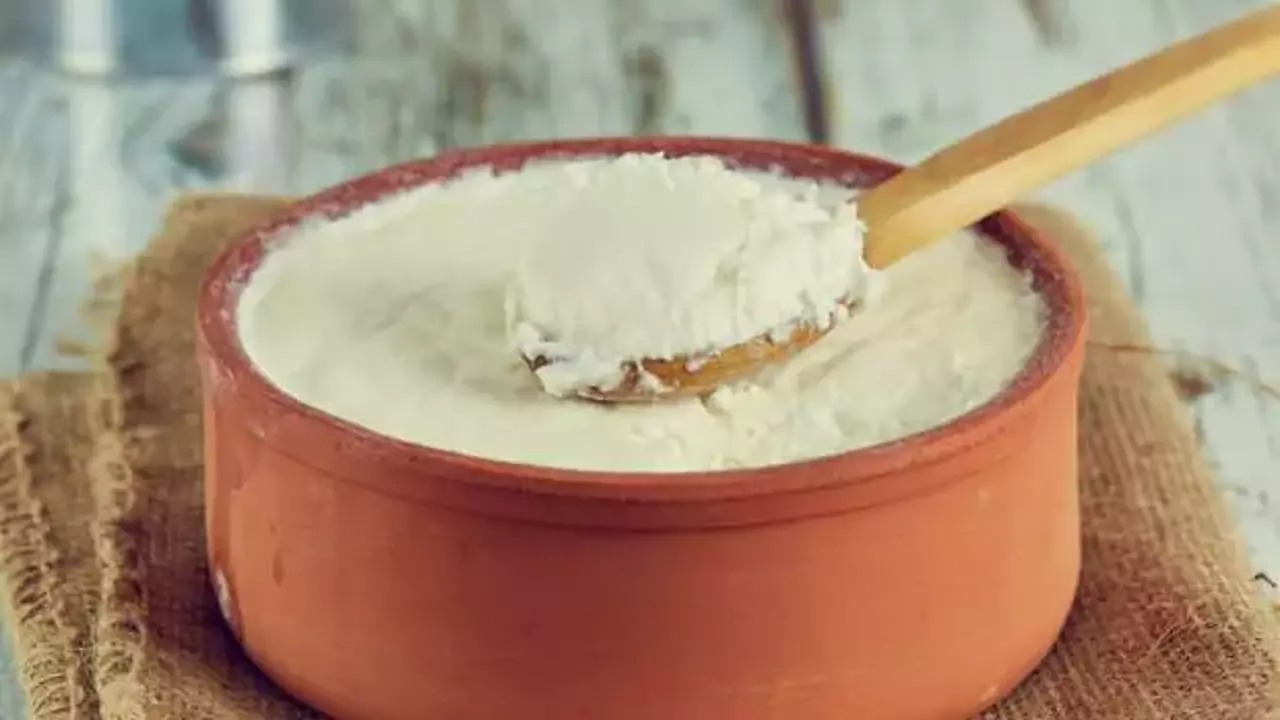 Eskişehir Inönü Manda Kaymağı 2026