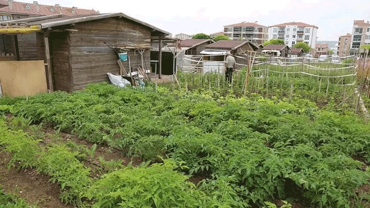 Hobi Bahceleri Haberleri