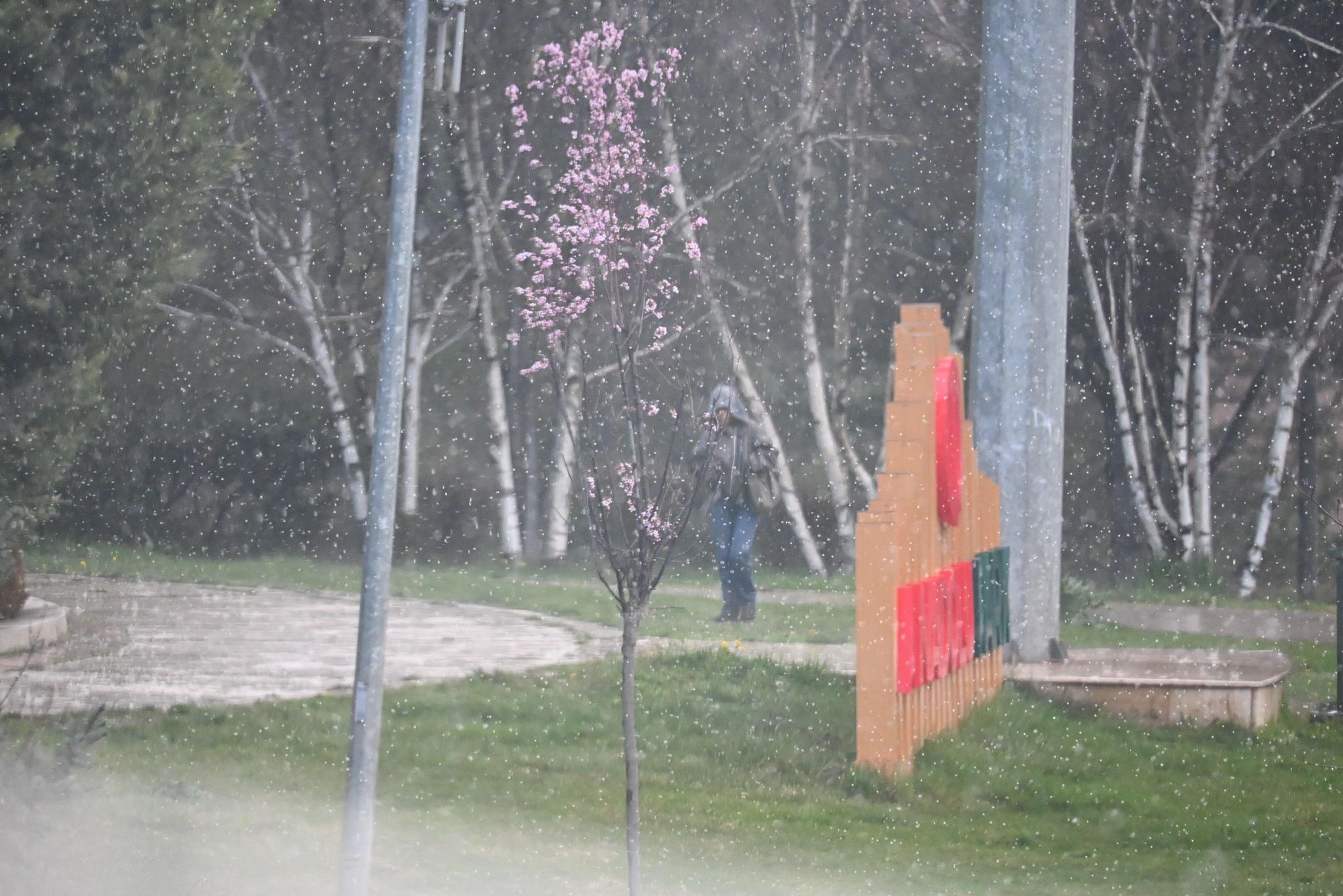 anadolu-universitesi-saganak