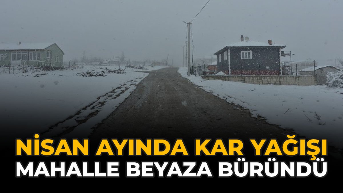 Nisan Ayında Kar Yağışı: Mahalle Beyaza Büründü