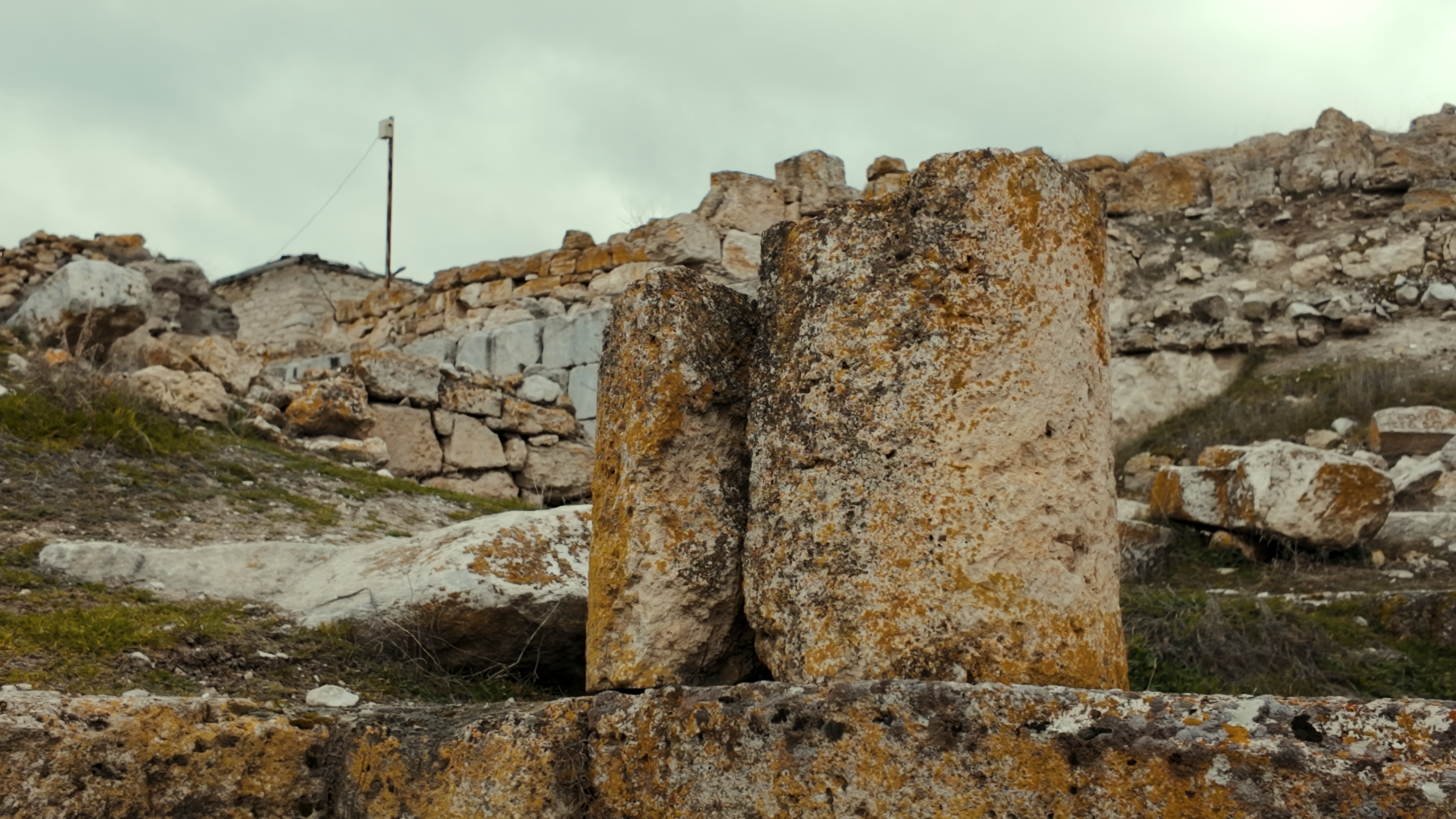 Still 2026 03 25 170915 1.3.1