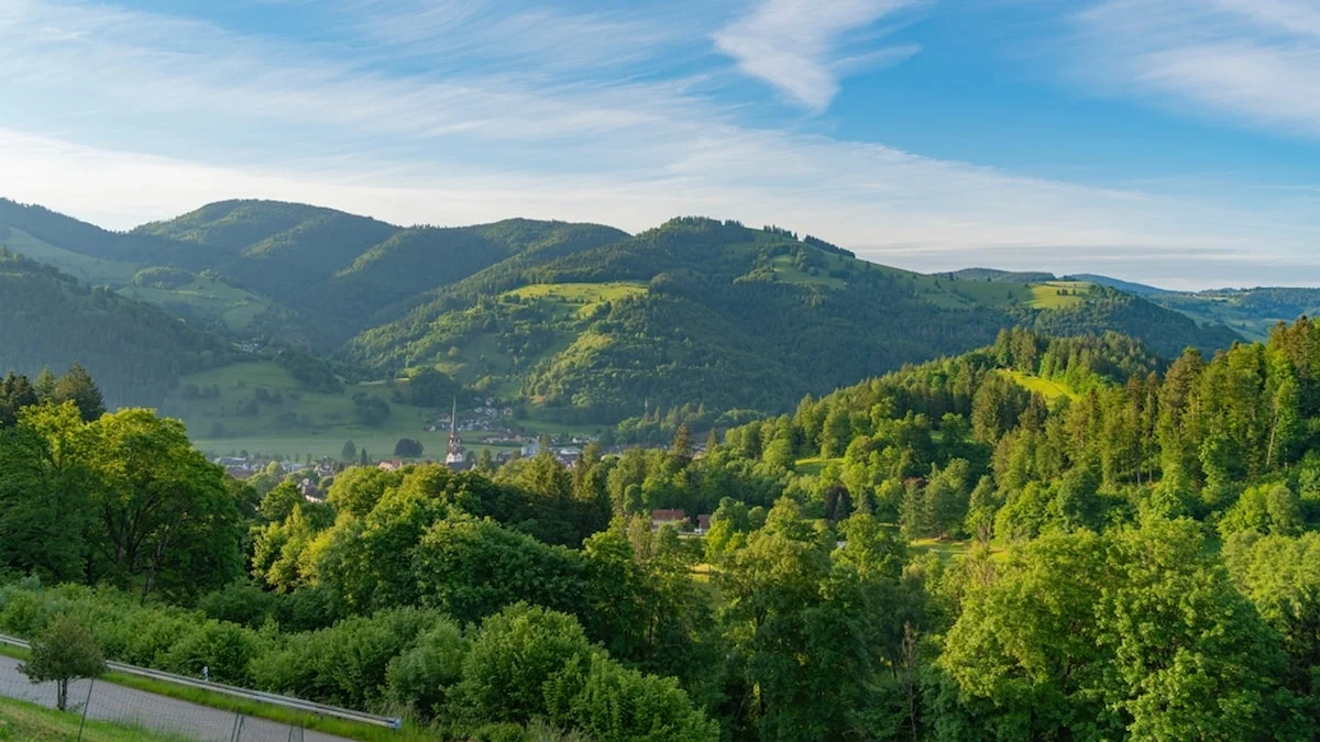 Türkiye'nin En Yeşil Kentleri Açıklandı: Sadece 14 İl Sınırı Geçebildi