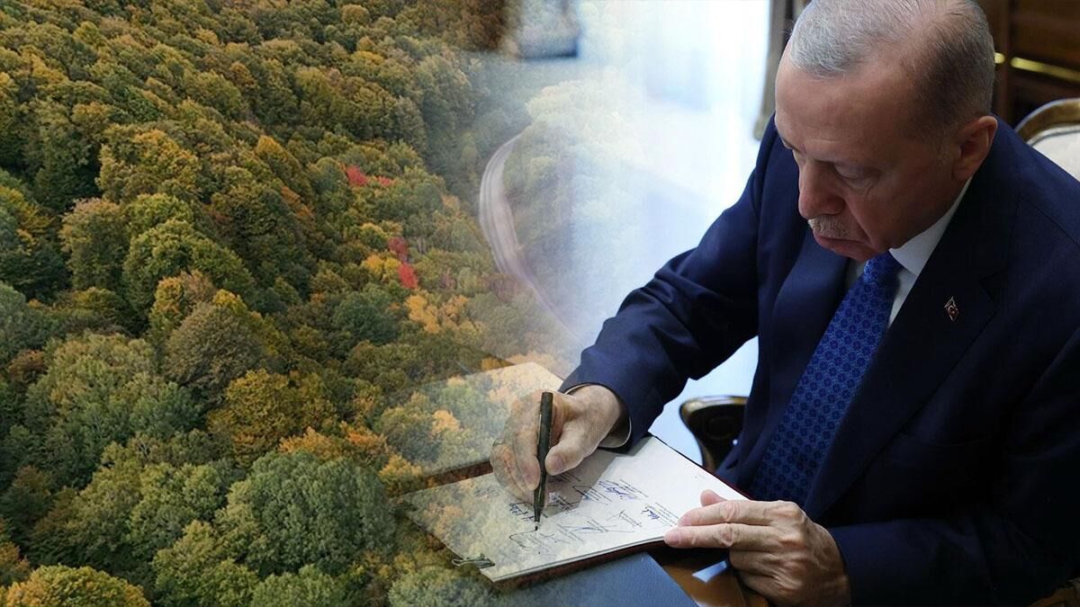 Resmi Gazete'de Yayımlandı: 23 İlde Bazı Alanlar Orman Sınırları Dışına Çıkarıldı