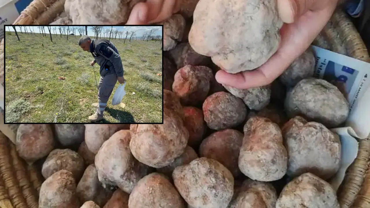 Eskişehirliler Sabahın Köründe Arıyor: Kilosu 2 Bin TL'den Satılıyor