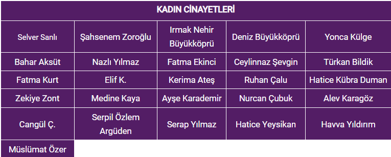 kadın-cinayet-5
