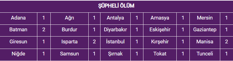 kadın-cinayet-8