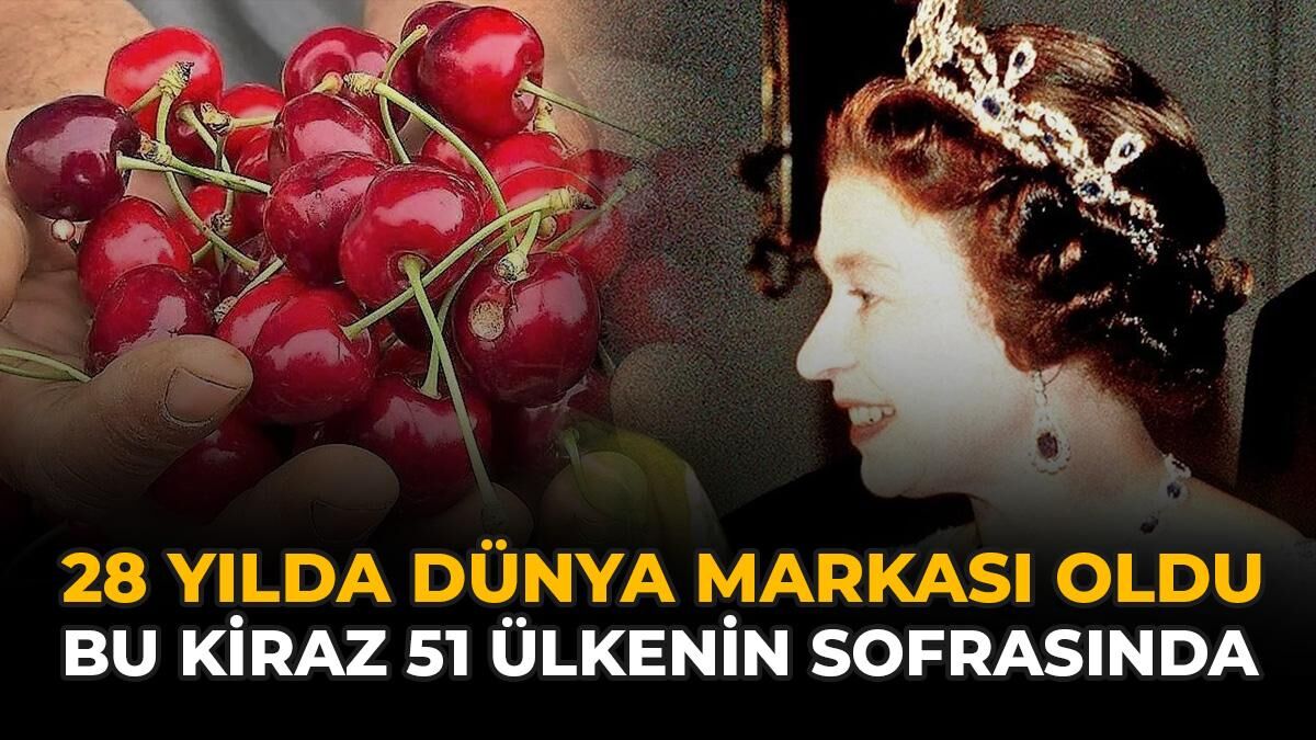 28 Yılda Dünya Markası Oldu: Bu Kiraz 51 Ülkenin Sofrasında