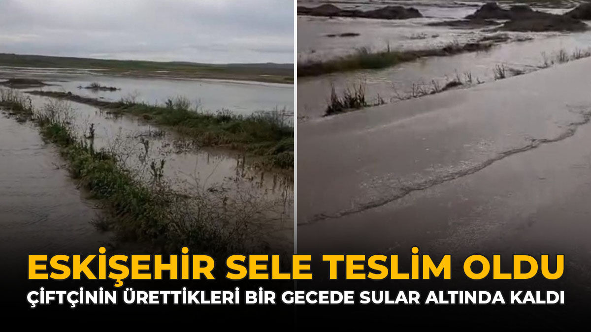 Eskişehir Sele Teslim Oldu: Çiftçinin Ürettikleri Bir Gecede Sular Altında Kaldı