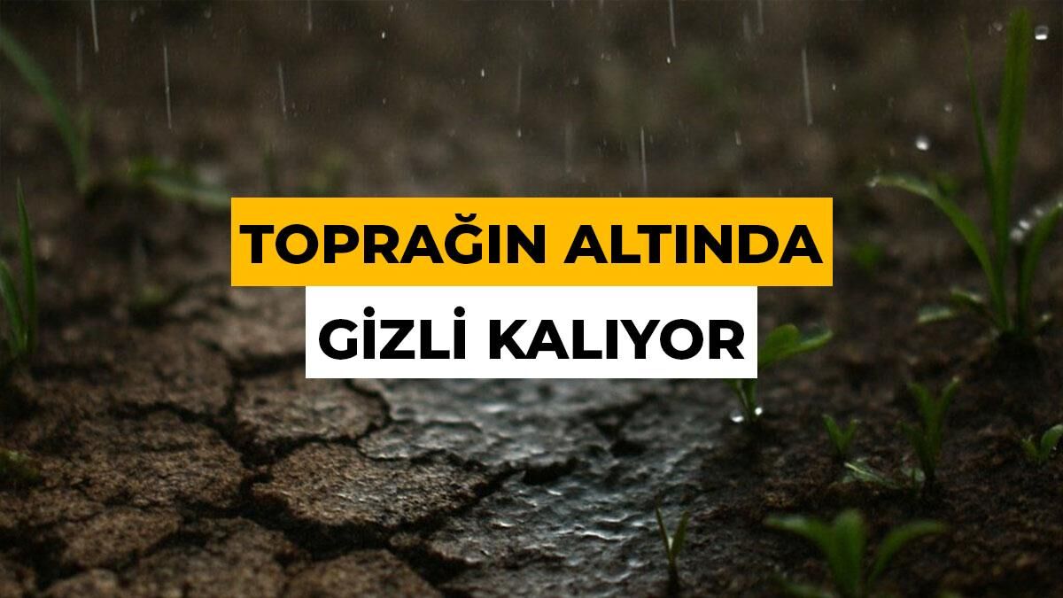 İnsan Burnu Bu Kokuyu Trilyonda 5 Parçayla Bile Algılıyor