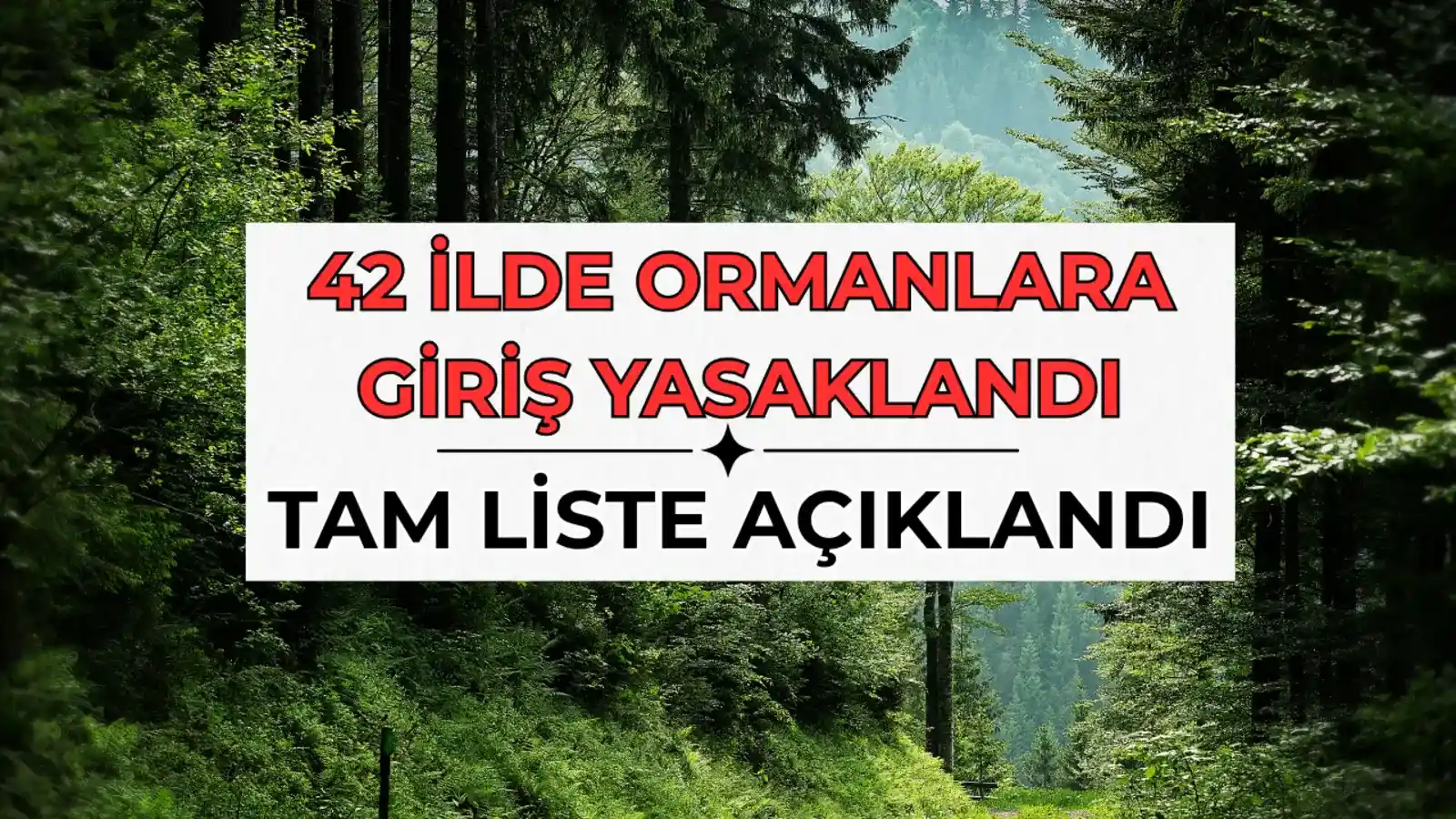 Hangi İllerde Ormanlara Giriş Yasak? Liste 42'ye Çıktı