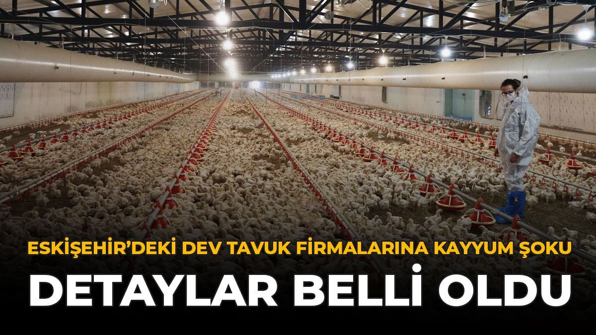 Eskişehir'deki Dev Tavuk Firmalarına Kayyum Şoku: Detaylar Belli Oldu