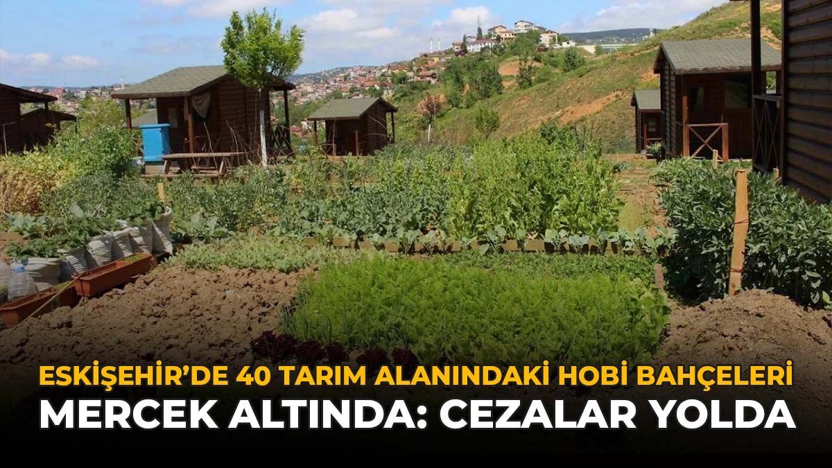 Eskişehir'de 40 Tarım Alanındaki Hobi Bahçeleri Mercek Altında: İşte Cezalar