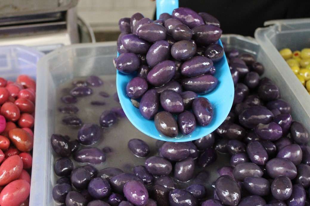 Mor Zeytin Nasıl Yetişir