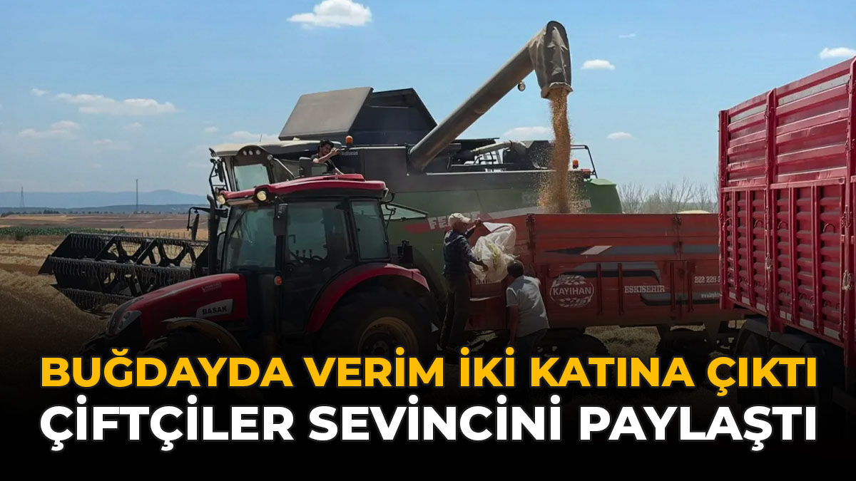 Buğdayda Verim İki Katına Çıktı: Çiftçiler Sevincini Paylaştı