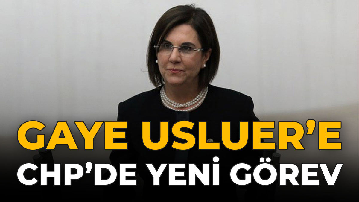 Gaye Usluer’e CHP’de Yeni Görev