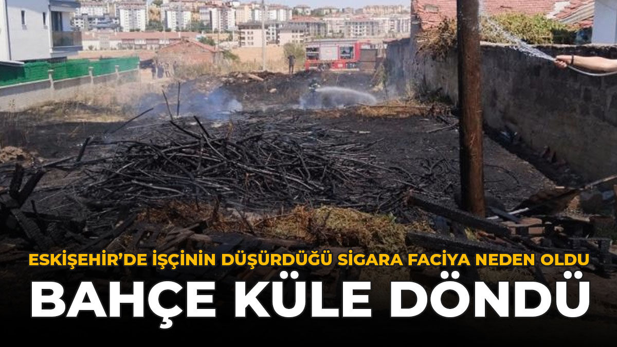 Eskişehir'de İşçinin Düşürdüğü Sigara Faciaya Neden Oldu: Bahçe Küle Döndü