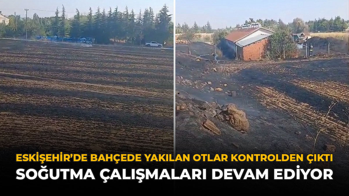 Eskişehir'de Bahçede Yakılan Otlar Kontrolden Çıktı: Soğutma Çalışmaları Devam Ediyor