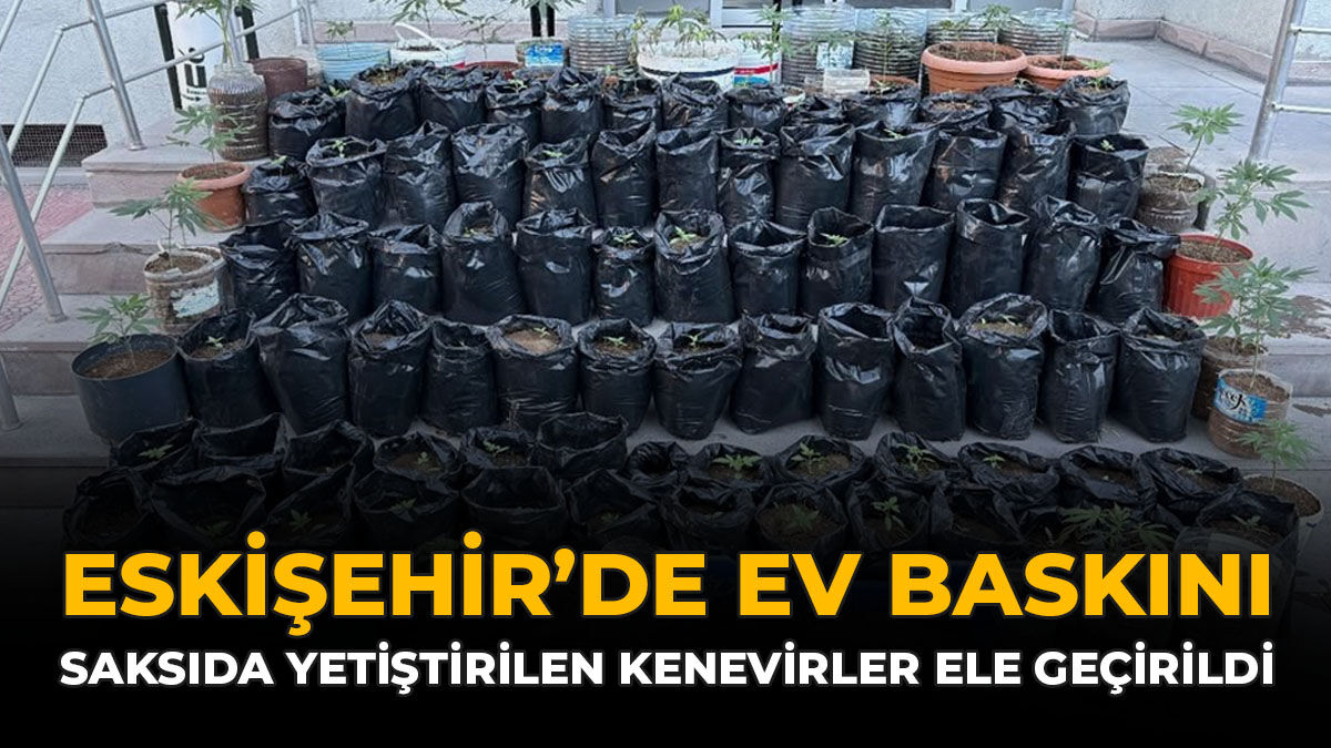 Eskişehir Ev Baskını: Saksılarda Yetiştirilen Kenevirler Ele Geçirildi