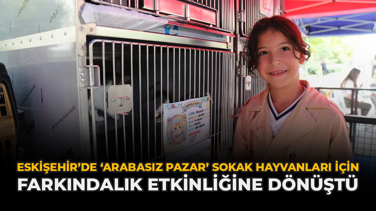 Eskişehir’de ‘Arabasız Pazar’ Sokak Hayvanları İçin Farkındalık Etkinliğine Dönüştü