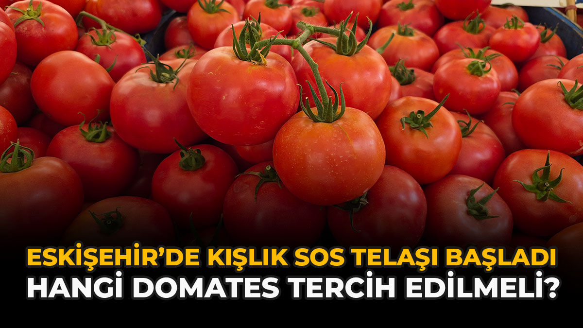 Eskişehir’de Kışlık Sos Telaşı Başladı: Hangi Domates Tercih Edilmeli?
