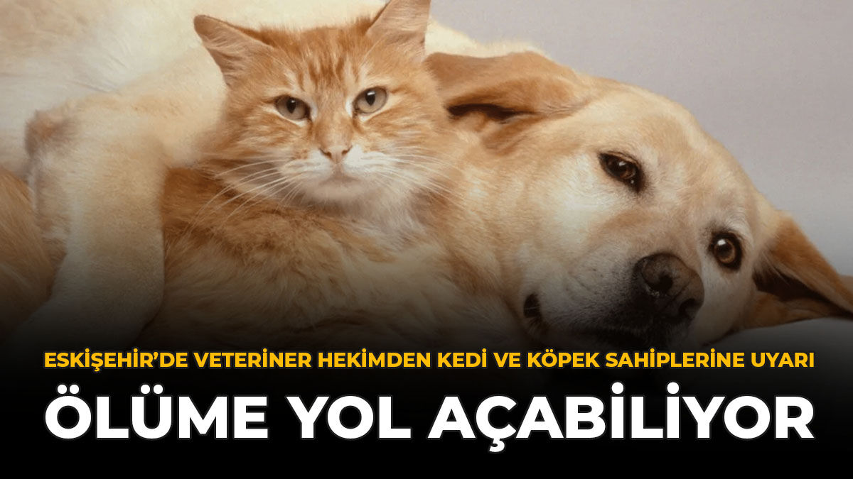 Eskişehir’de Veteriner Hekimden Kedi Ve Köpek Sahiplerine Uyarı: Ölüme Yol Açabiliyor