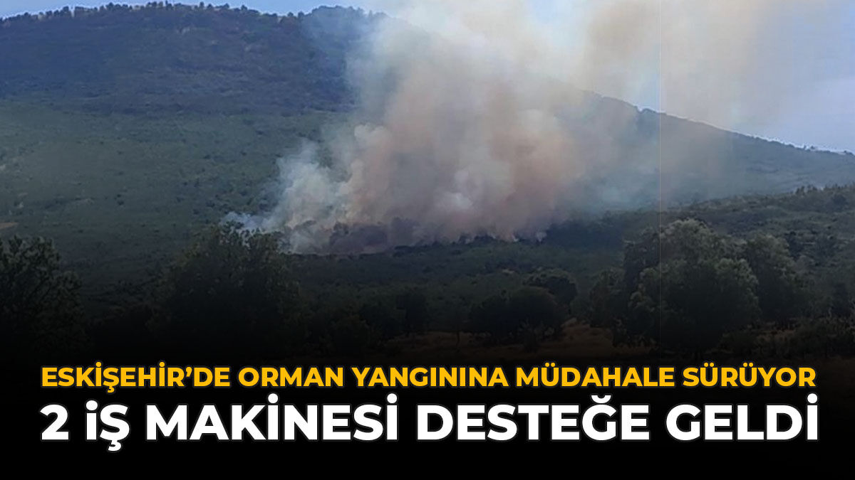 Eskişehir'de Orman Yangınına Müdahale Sürüyor: 2 İş Makinesi Desteğe Geldi