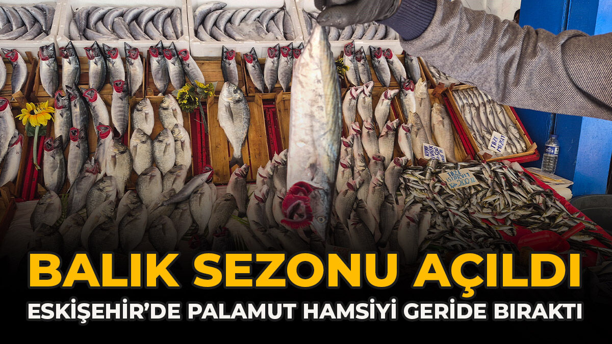 Balık Sezonu Açıldı: Eskişehir’de Palamut Hamsiyi Geride Bıraktı