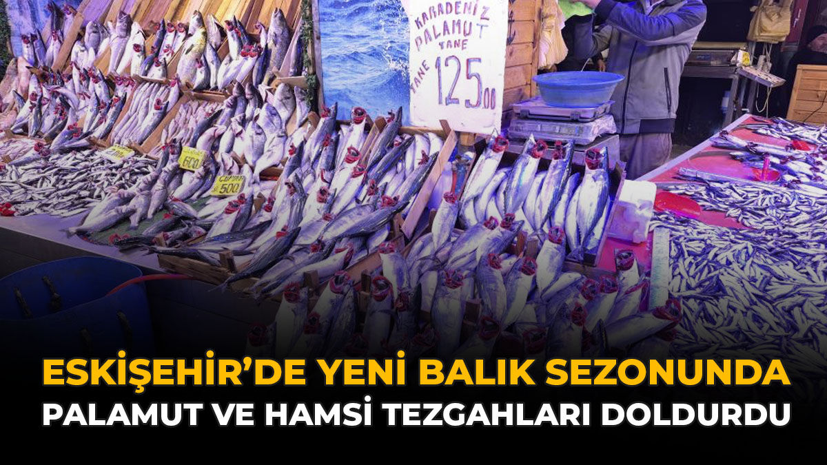 Eskişehir'de Yeni Balık Sezonunda Palamut ve Hamsi Tezgahları Doldurdu